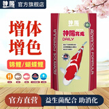 神阳蝴蝶鲤白金锦鲤饲料增白长鳍主食鱼食育成鱼粮益生菌鱼食颗粒鱼料 神阳育成 色扬促生长 1kg 中粒
