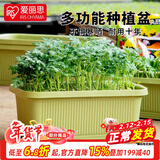 爱丽思（IRIS）种菜盆蔬菜种植箱塑料菜盆特大号阳台种菜神器户外花箱种花菜盆 【1个】大(60cm长)绿色 送隔网