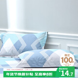 艾薇 A类全棉枕套 学生宿舍枕头套单人枕芯套 一个装 巴德尔 48*74cm