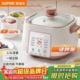 苏泊尔（SUPOR）电炖锅 电炖盅家用煲汤锅炖汤锅 隔水炖锅 煲汤专用电锅全自动陶瓷炖汤盅 DZ25YC828