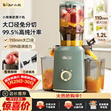 小熊（Bear）榨汁机 原汁机渣汁分离 多功能家用全自动冷压榨果汁橙汁压榨器果蔬机110mm口径F02E3