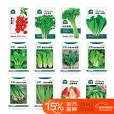北蔬各种蔬菜种子生菜草莓香菜小香葱黄瓜阳台四季菜籽 12种蔬菜种子