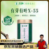 文新绿茶2025新茶有芽有叶信阳毛尖一级100g雨前罐装