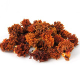 秋享加拿大北极红参花海参花海宝 采用加拿大进口鲜海参花加工制作 250g