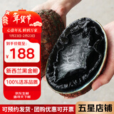鲟食 新西兰黑金鲍 大鲍鱼高端食材生鲜海鲜水产过节送礼 新西兰黑金鲍 【礼盒装】500-600g/只*2只