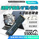 GooRise ssd适用机械革命笔记本专用固态硬盘极光/蛟龙/旷世/耀世/深海幽灵pcie3.0 1t固态硬盘m.2NVME 4.0-【1TB】GooRise固态硬盘5500M