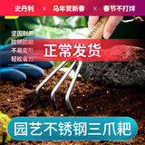 史丹利不锈钢园艺耙子松土挖沙农具二齿三爪种花赶海沙滩玩具除草工具
