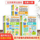 迷宫+找不同+数独（12册）专注力训练游戏书 彩图大字版 初级篇 中级篇 高级篇 挑战篇 逻辑思维 推理能力提升训练 儿童年货节送礼