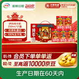 伊利【新鲜日期】纯牛奶250ml*21盒 年货送礼 财神年货礼盒装