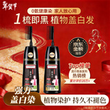 同仁堂一梳黑染发膏纯植物天然染发无刺激不沾头皮染发剂黑茶色510ml