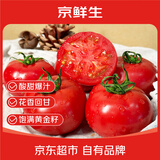 京鲜生山努农场 玫瑰番茄 自然熟新鲜蔬菜 2斤中果 单果50g+ 源头直发