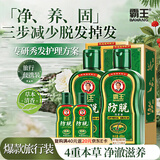 霸王侧柏叶人参精华滋养防脱固发控油去屑洗发水408ml*2+旅行装80ml*2