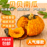 正宗贝贝南瓜板栗味宝宝辅食老南瓜新鲜蔬菜生鲜减肥减脂早餐轻食 性价比小果 500g ±50g