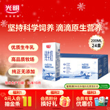光明纯牛奶200ml*24盒优质乳蛋白营养早餐奶家庭分享装年货送礼量贩装