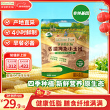 爷爷的农场儿童拇指小玉米400g(6-8根) 宝宝儿童早餐零食杂粮拇指白糯玉米