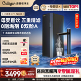 康丽根加热净水器小黑龙1100G厨下直饮一体机 母婴级反渗透0阻垢剂T2800