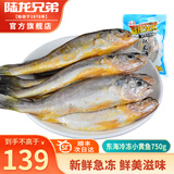 陆龙 东海冷冻小黄鱼750g/约12条 急冻锁鲜 高品质海鲜水产 顺丰速配 【顺丰速配】东海冷冻小黄鱼约12条/750g*1袋