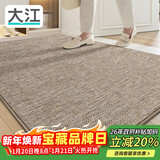 大江 门口地垫入户门脚垫进门门垫玄关垫轻奢高级地毯入户门80x150cm