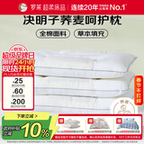 罗莱家纺 枕头枕芯脊椎枕 100%全棉决明子荞麦花草护颈枕 46*72