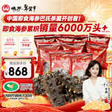 晓芹大连冷冻即食海参500g 7-9只*2袋 辽刺参 海鲜水产 年货