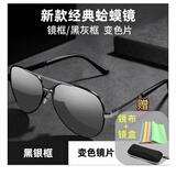 泰奢新款墨镜太阳镜男偏光开车驾驶钓鱼眼镜日夜两用变色防晒墨镜男 【智能变色日夜两用】黑银镜架