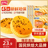 盼盼 肉松面包 蛋糕早餐面包鸡蛋糕休闲零食糕点点心 480g 源头直发