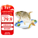 鲜京采【冰鲜】 万山岛金鲳鱼3斤/3条 地标产品 年货国产鱼类 源头直发