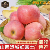 倾睦山西运城红富士苹果临猗特产冰糖心丑苹果现摘红富士新鲜水果礼盒 9斤 精选果【单果75mm+】