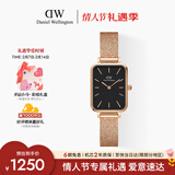 丹尼尔惠灵顿（DanielWellington）DW女士手表复古小方表轻奢小众石英腕表送女友情人节礼物DW432