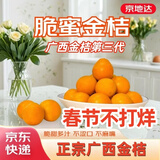 京地达广西金桔三代脆蜜金桔净重2斤单果约17g脆蜜金柑水果源头直发