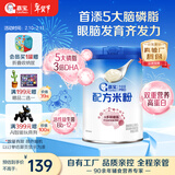 嘉宝（GERBER）多种磷脂+DHA配方米粉250g高铁易吸收宝宝辅食米粉6月+