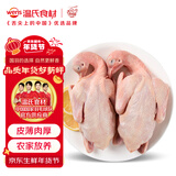 温氏 供港乳鸽净重520g/2只 冷冻鸽子 鸽子汤 术后年货礼品 煲汤食材