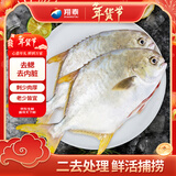 翔泰海南二去金鲳鱼700g/2条 去鳃去内脏 年货节生鲜鱼类  海鲜水产 