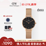 丹尼尔惠灵顿（DanielWellington）DW女士手表轻奢流金简约石英欧美腕表送女友新年礼物DW217