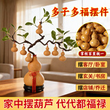 明恩天然葫芦摆件2026最新款葫芦风水挂件开口大号带龙头手捻文玩葫芦 【迎客松葫芦】 高20-25+小葫芦*7