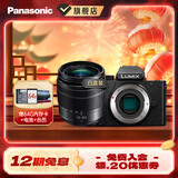 松下（Panasonic）Lumix G100D M43画幅相机 M43卡口 微单相机 无反数码相机 G100D+【12-60mm白盒】单镜套装