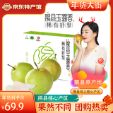 梨贡士隰县梨园 山西隰县玉露香梨 临汾馆玉露香梨脆甜多汁梨子特产 15颗中果（8斤装）