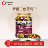 春江月三色葡萄干500g多彩红绿混合葡萄新疆特产无核黑加仑孕妇休闲零食 三色葡萄干【500g*1罐】