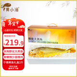 黄小渔【深海野化】宁德大黄鱼海鲜礼盒2斤/条 黄花鱼年货送礼源头直发 