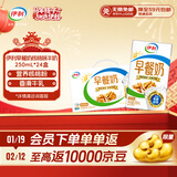 伊利早餐奶核桃味 250ml*24盒 优选核桃早餐伴侣 年货礼盒装 