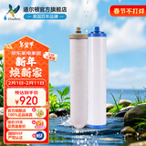 道尔顿（Doulton）净水器滤芯套装DCP203 DIP203 DIP301净水器专用滤芯 道尔顿2504M12UCC/KDF/PF等滤芯组合 DIP/DCP203滤芯套装2504M12+KDF