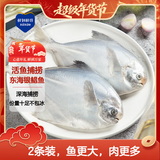 鲜到鲜得 东海银鲳鱼400g/2条装 平鱼 生鲜鱼类 深海鱼 海鲜 年货