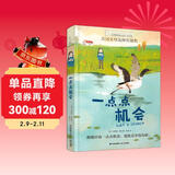 长青藤国际大奖小说一点点机会 美国父母选择奖银奖 勇气、勇敢面对失去等主题三四五六年级中小学生必读影响孩子一生的国际儿童文学奖经典名著课外阅读 儿童年货节送礼