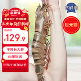 京鲜港手臂长红爪大对虾1只0.6斤蒜蓉芝士烤 大虾礼盒 年货送礼源头直发