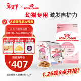 皇家幼猫 干湿搭配   K36 4.5KG+ KJP 85G*12