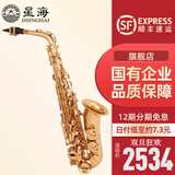 星海（XINGHAI INSTRUMENT）中音萨克斯 降E调萨克斯乐器 初学者演奏儿童 学生考级款萨克斯 初学款YH-421/Eb调中音萨克斯