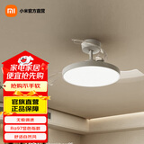 米家风扇灯吊扇灯 家用隐形简约北欧餐厅卧室全光谱睡眠模式 米家风扇灯42英寸