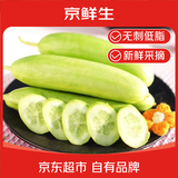 京鲜生山东奶油黄瓜净重1.8斤单果50g+ 小青瓜新鲜蔬菜源头直发