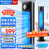 格力（GREE）空调扇家用冷风扇负离子加湿制冷风机办公移动遥控小空调扇客厅卧室节能落地扇省电扇单冷循环塔扇 等离子除菌款 LED大屏显（KS-06S70Dg）