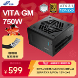 全汉（FSP）VITA GM 750W金牌全模组电源（ATX3.1/PCle 5.1 12V-2x6接口/105℃工业等级日系电容/全压纹线）